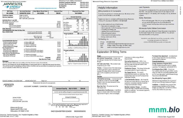 USA Minnesota Energy rachunek za media, Word i PDF template, 2 strony